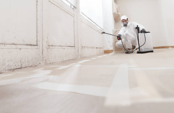 24/7 Emergency Mold Remediation experts in Portland, MI