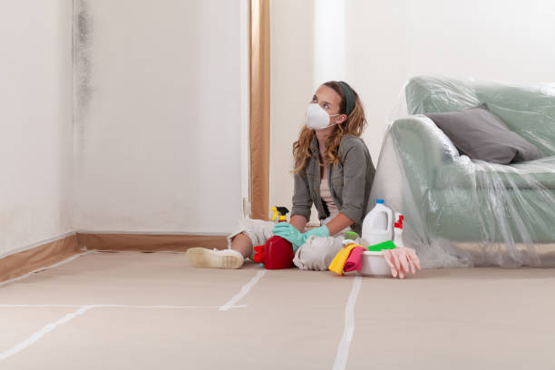 Reliable Mold Remediation contractor in Portland, MI by 24 Hour Mold Removal
